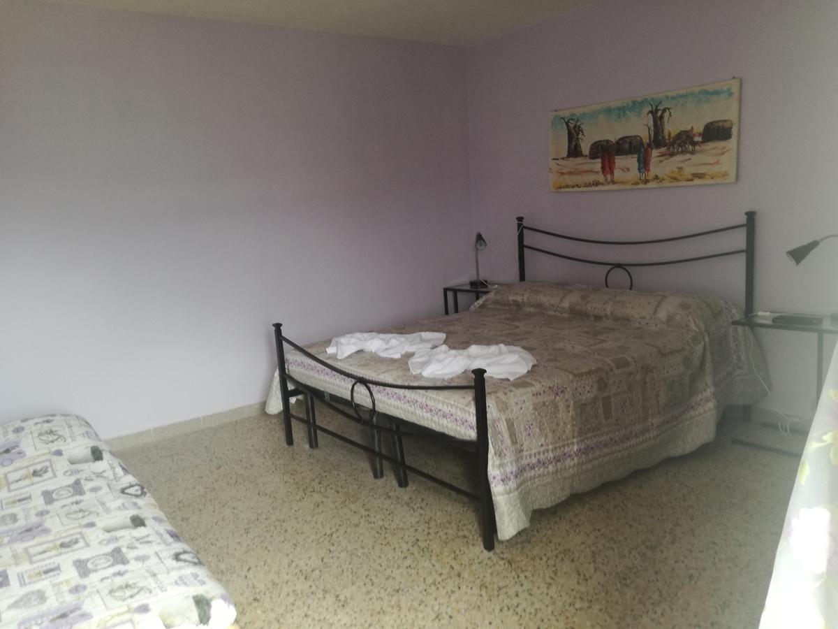 B&B La Rondinella Montecerboli Екстериор снимка