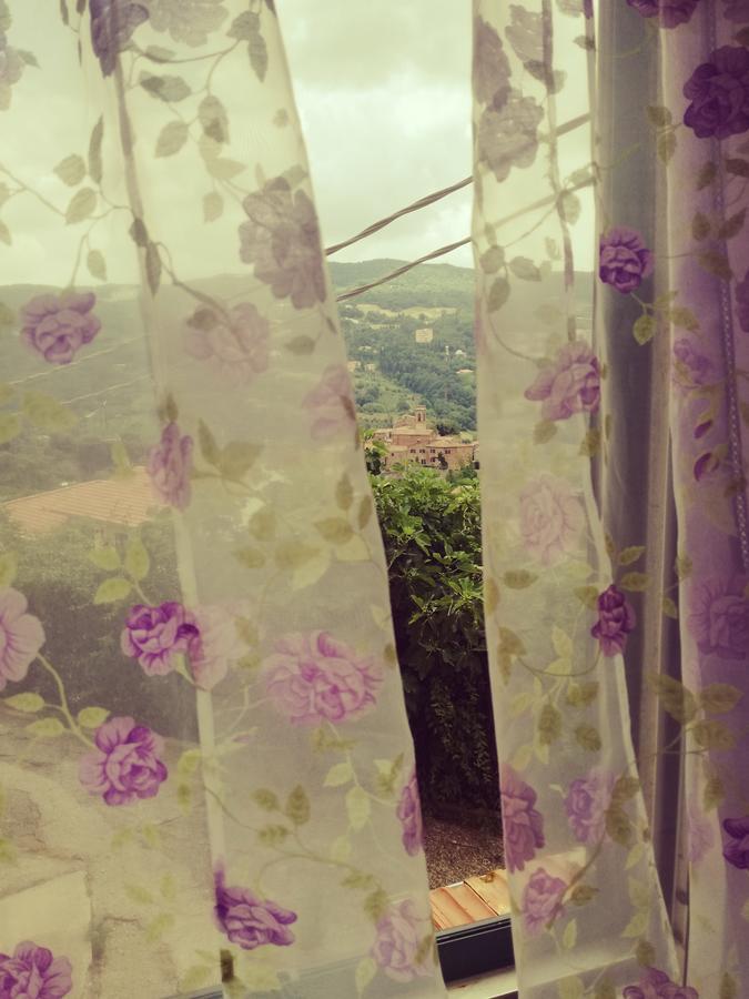 B&B La Rondinella Montecerboli Екстериор снимка